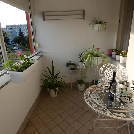 Apartman Bingo Zadar Buitenkant foto